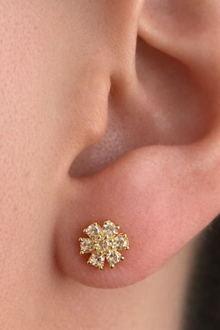 ARETES CLAVER CRISTAL