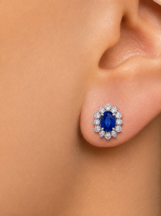 ARETES ARI