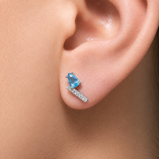 ARETES SINGA PLATEADO