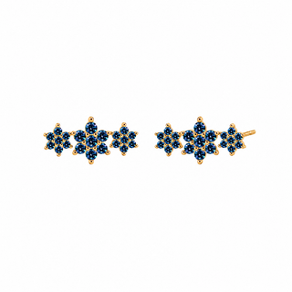 ARETES NIGELLA
