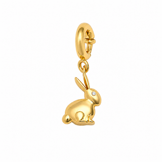 CHARM RABIT