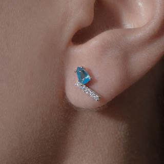 ARETES SINGA PLATEADO